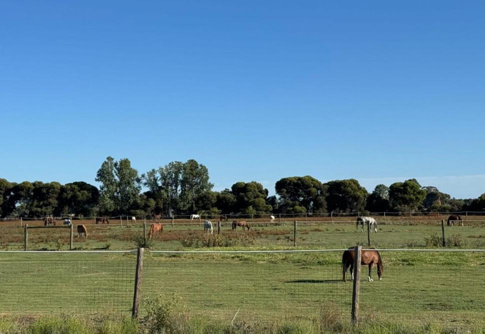 Lazy River Motor Swan Hill